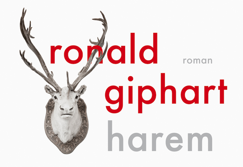Harem - Ronald Giphart (ISBN 9789049804701)